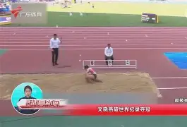 埃尔切客战保级成功，齐心合力取胜的简单介绍